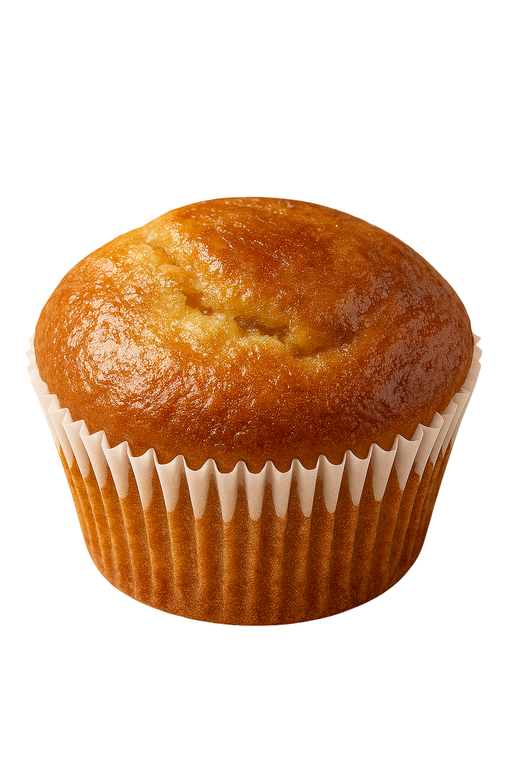 Vanilla Cup Cake - 12 pcs